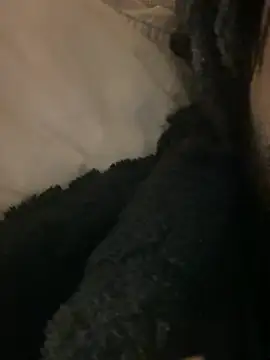 Snapshot of BBCboy365 chatting on 04.12.26 BBCboy365 online show from 04.12.26