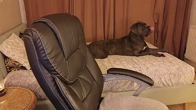 Snapshot of Sharon_Red chatting on 12.02.24 Sharon Red online show from 12.02.24