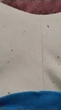 diego69caxondo online show from 04.22.26