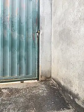 Showwspordezreais online show from 04.23.26