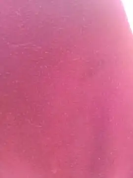 bombasexual online show from 05.06.26