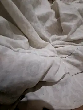 PretinhoUsa online show from 04.28.26