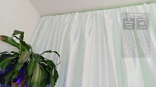 cata cat online show from 06.24.26