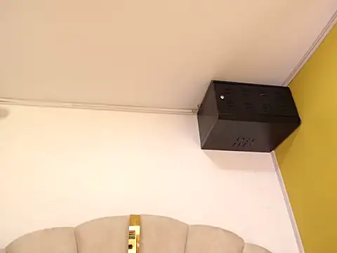 Gingerblis online show from 06.11.26