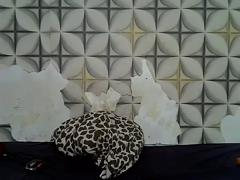 fine grap online show from 06.23.26
