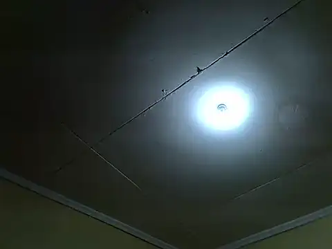 Snapshot of FlirtyChocolate1 chatting on 05.25.26 FlirtyChocolate1 online show from 05.25.26