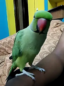 Lawrencedlkk007 online show from 03.09.25