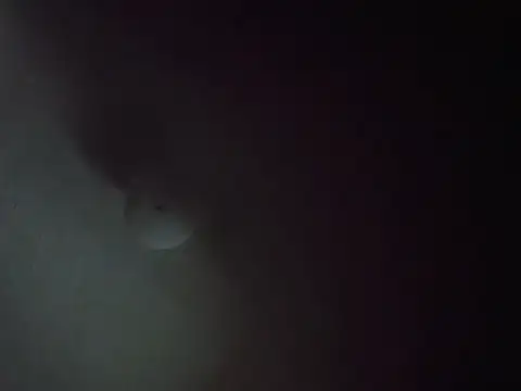 CurveBallbae67 online show from 07.06.26