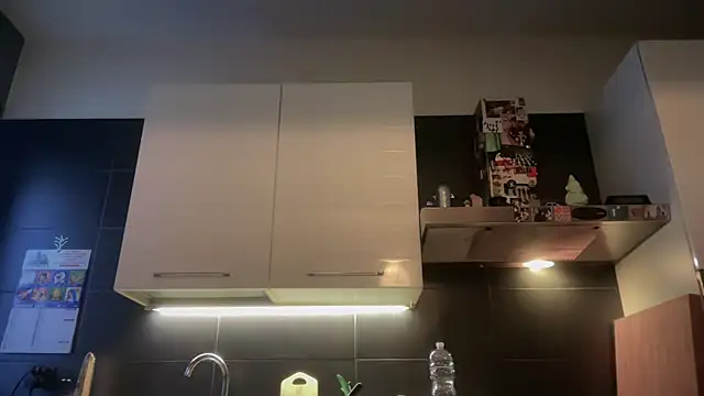 theitalianbear online show from 01.07.26