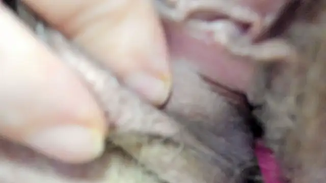 Snapshot of vitabox chatting on 09.21.25 vitabox online show from 09.21.25