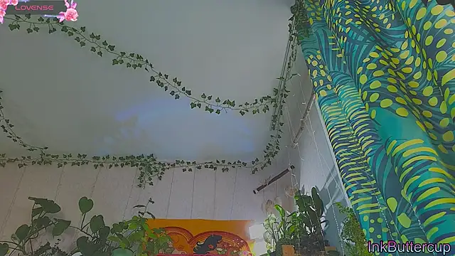 Dead Butterfly online show from 09.16.25