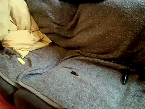 Snapshot of Truganini1 chatting on 12.22.24 Truganini1 online show from 12.22.24