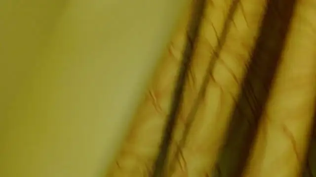 digbicku online show from 10.12.25