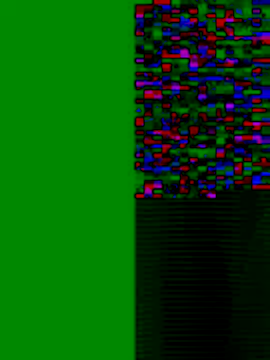 Biknight online show from 09.11.25