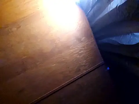 Snapshot of UncutHammer69 chatting on 02.17.26 UncutHammer69 online show from 02.17.26