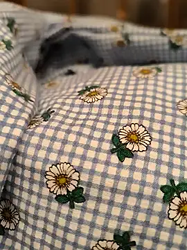 geilerboy2628 online show from 03.13.26