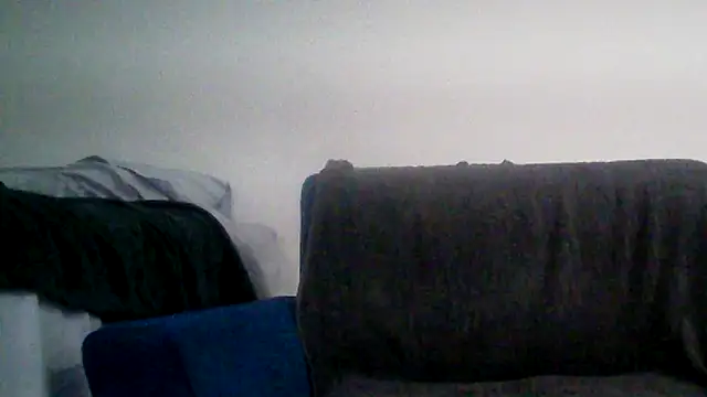 Snapshot of TOYTOYNOW chatting on 12.24.24 TOYTOYNOW online show from 12.24.24