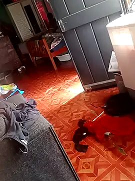 2soyte online show from 09.26.25