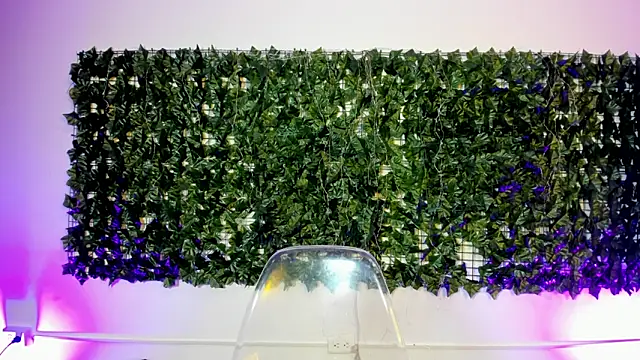 AbbyTaylorr online show from 04.02.26