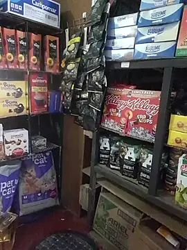 Kalani Engel online show from 04.19.26