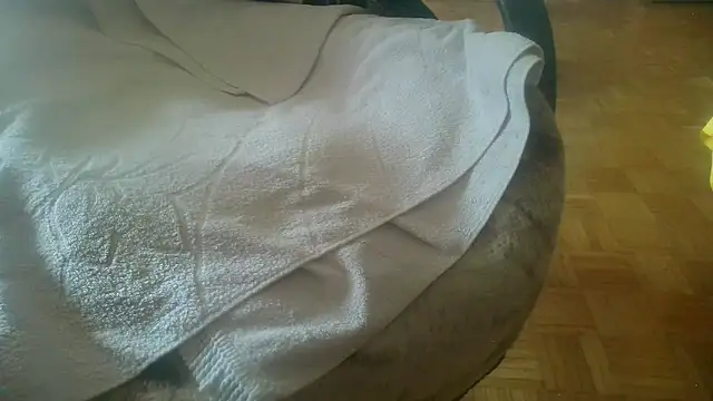 Python43 online show from 02.20.25