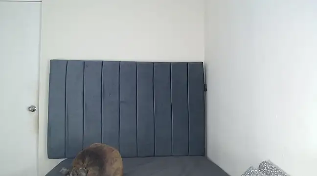 Snapshot of Chanelsexyy chatting on 03.06.25 Chanelsexyy online show from 03.06.25