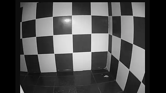 lysergic47 online show from 01.28.25