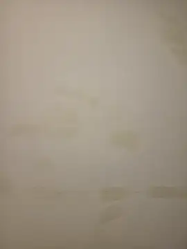 Adivaaa online show from 02.12.26