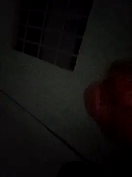 Jonehau online show from 05.03.26
