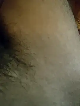 Samsharma1170 online show from 01.31.25