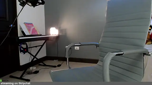 Snapshot of minarocket_ chatting on 02.19.26 minarocket online show from 02.19.26