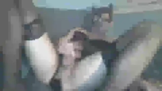 chceciedalsiebie online show from 02.03.26