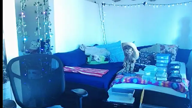 Snapshot of mycock2474u chatting on 02.25.25 mycock2474u online show from 02.25.25