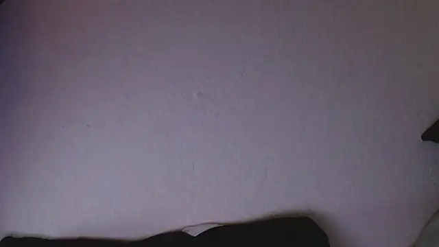 florida0217 online show from 03.01.25