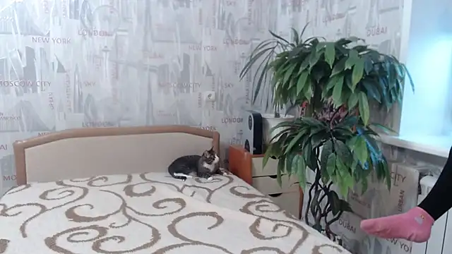 GinaQSoul online show from 02.20.26