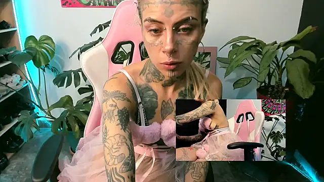 handipandapok online show from 03.01.25