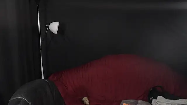 Metalstud online show from 12.29.24