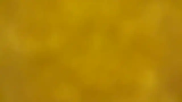 Snapshot of fmodel chatting on 12.16.25 fmodel online show from 12.16.25