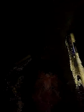 Snapshot of tropikboy chatting on 11.25.25 tropikboy online show from 11.25.25