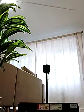 mister-dwt online show from 02.26.25