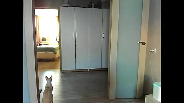 Snapshot of sweeetgirls2021 chatting on 12.12.24 sweeetgirls2021 online show from 12.12.24