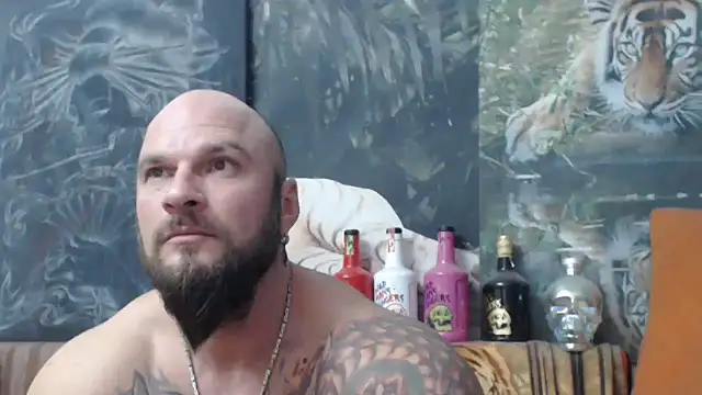 viking 30 online show from 11.22.25