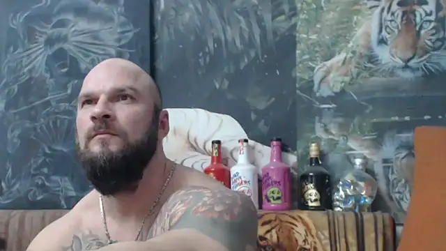 viking 30 online show from 12.04.25