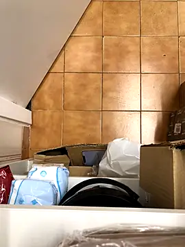 Snapshot of Mindnorthcam2 chatting on 11.17.25 Mindnorthcam2 online show from 11.17.25