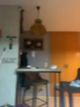 camelia3 online show from 02.25.26