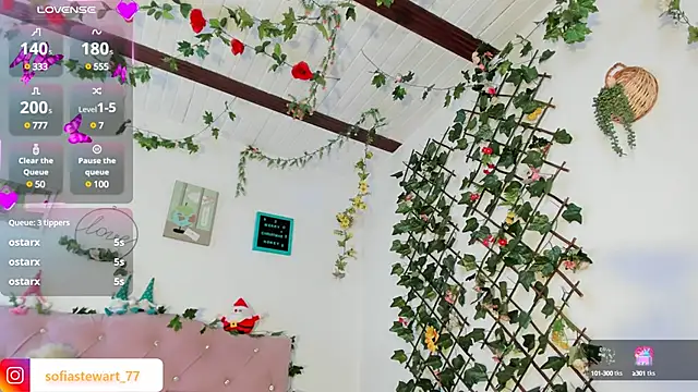 steewart  online show from 12.13.24