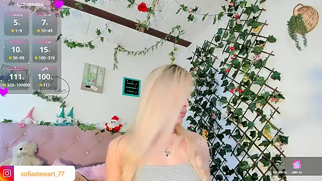 steewart  online show from 12.27.24