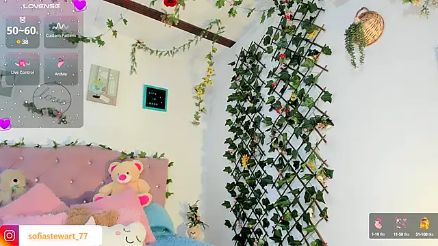 steewart  online show from 01.30.25