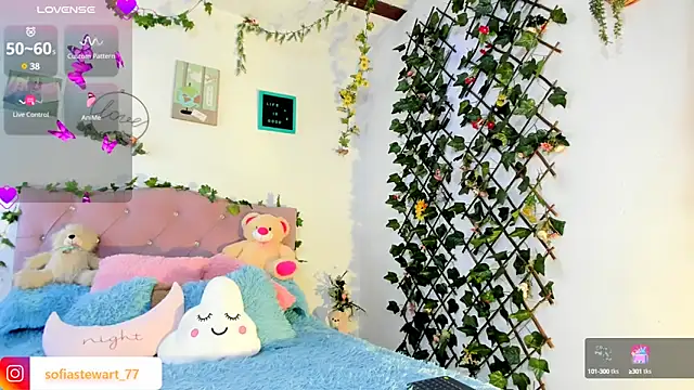 steewart  online show from 02.27.25