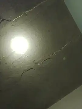 Indianbloom- online show from 04.06.26